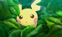 最新的动画片爆料